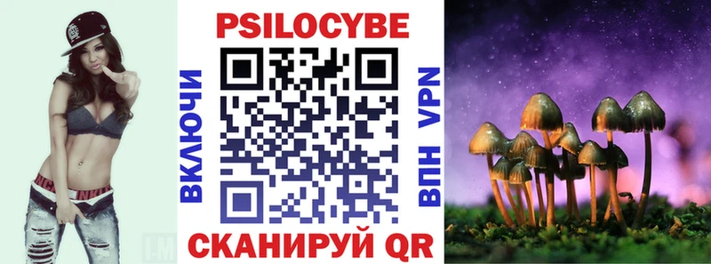 Купить  Пучеж  Галлюциногенные грибы Cubensis 